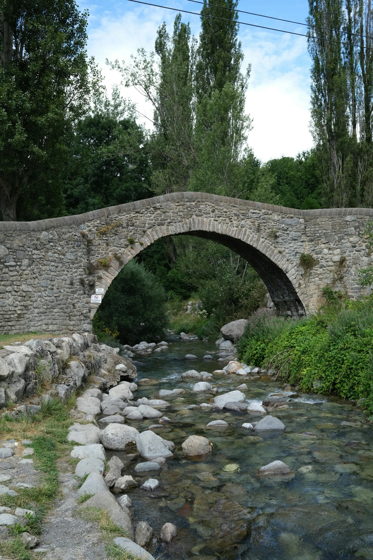 a stone bridge over a river surrounded by trees, les nabis, bad camrea, back arched, modern, lightweight