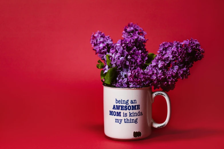 a mug filled with purple flowers on a red background, by Julia Pishtar, pexels contest winner, barbara kruger, hydrangea, kindness, awesome