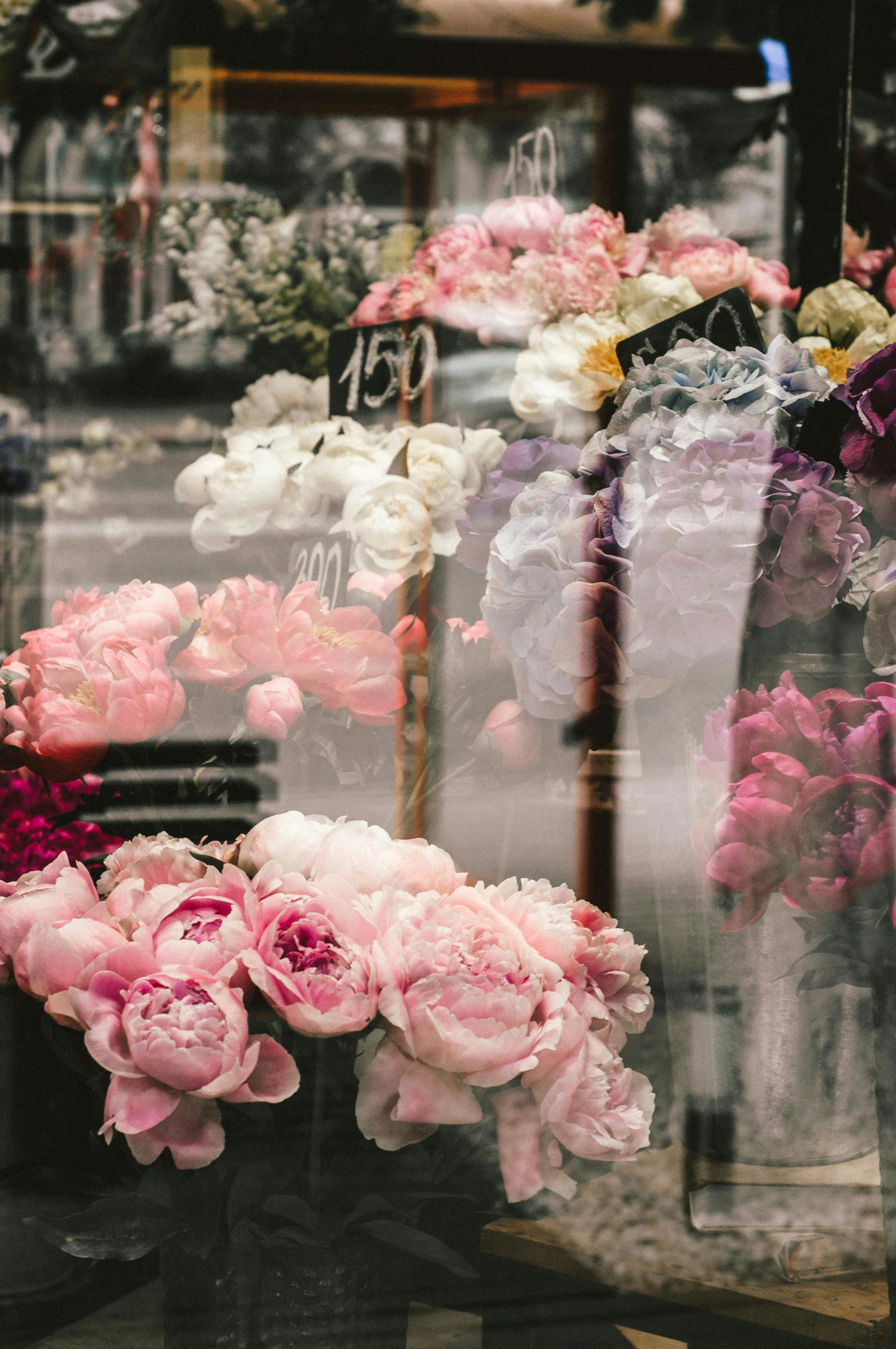 a bunch of vases filled with pink and white flowers, a picture, by Sam Dillemans, trending on unsplash, shop front, sheer, multiple layers, black peonies