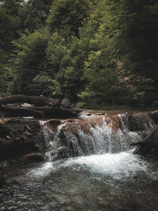 a small waterfall in the middle of a forest, a picture, unsplash contest winner, hurufiyya, movie photo, thumbnail, brown, ansel ]