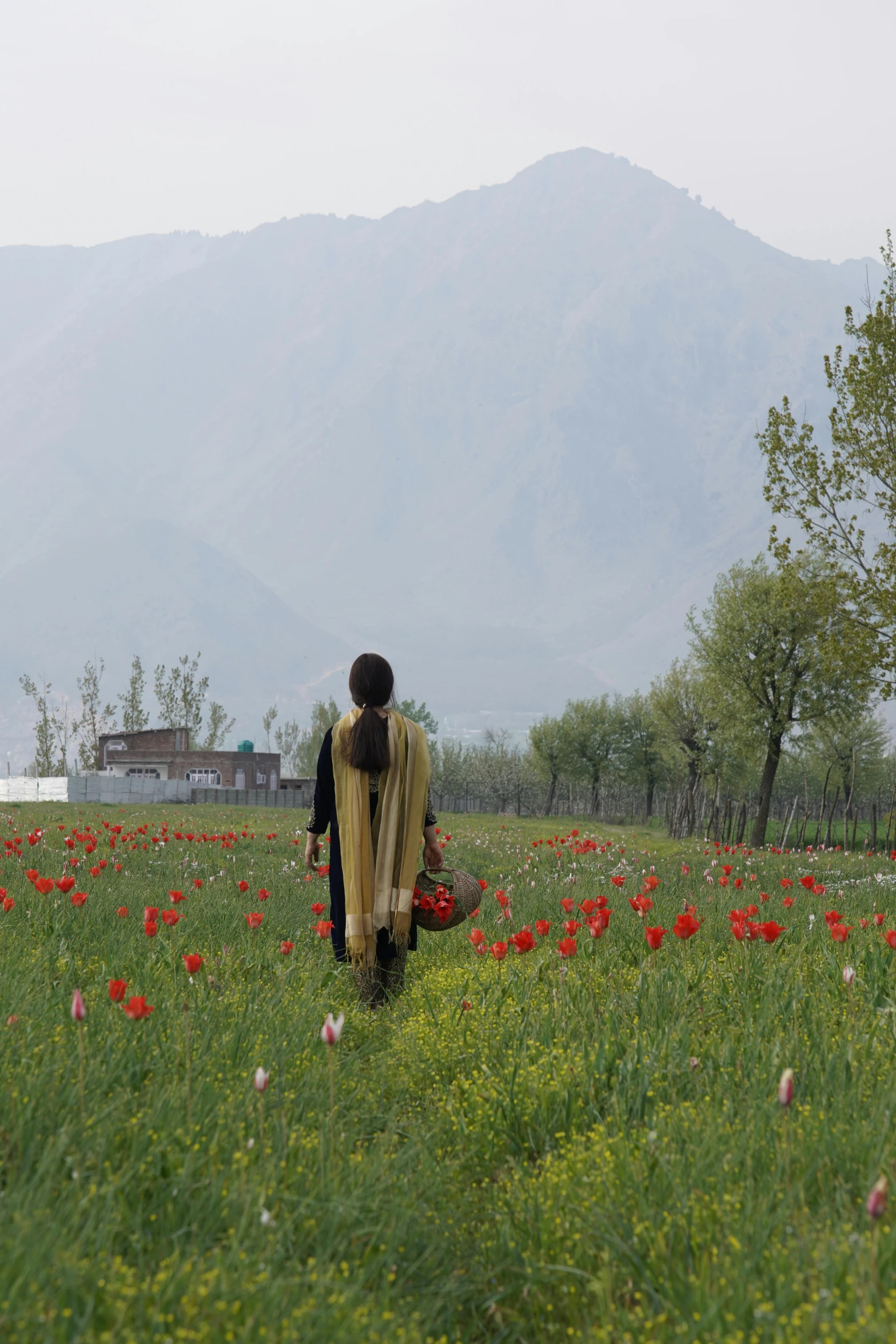 a woman walking through a field of flowers, inspired by Steve McCurry, land art, distant mountains, islamic, tulips, village