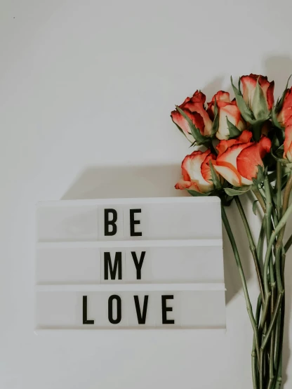 a bouquet of red roses sitting next to a sign that says be my love, pexels contest winner, light box, wallpaper aesthetic, white and orange breastplate, beautiful cute