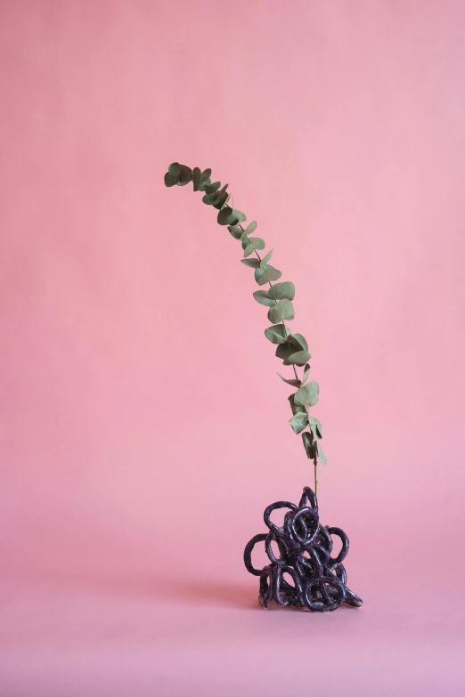 a green plant in a black vase on a pink background, a surrealist sculpture, inspired by Kim Tschang Yeul, unsplash, new sculpture, twisting organic tendrils, single long stick, made of dried flowers, macrame