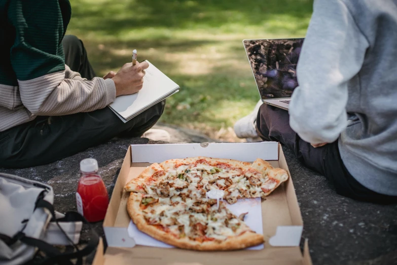 a pizza sitting on top of a cardboard box, a photo, by Julia Pishtar, pexels contest winner, visual art, people on a picnic, writing on a clipboard, with a laptop on his lap, college students