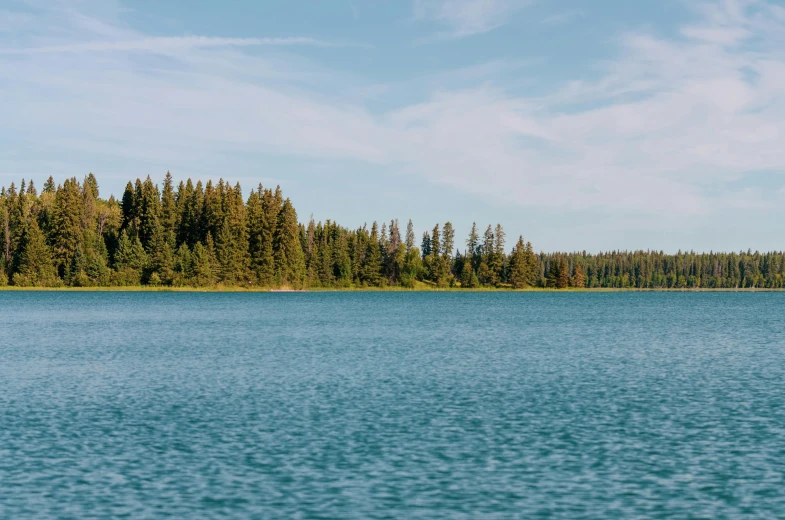 a large body of water surrounded by trees, unsplash contest winner, hurufiyya, lake blue, spruce trees, plain background, low quality photo