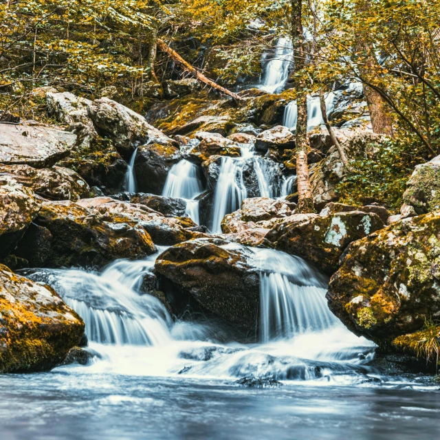 a waterfall in the middle of a forest, river running through it, creeks, instagram post, full frame image