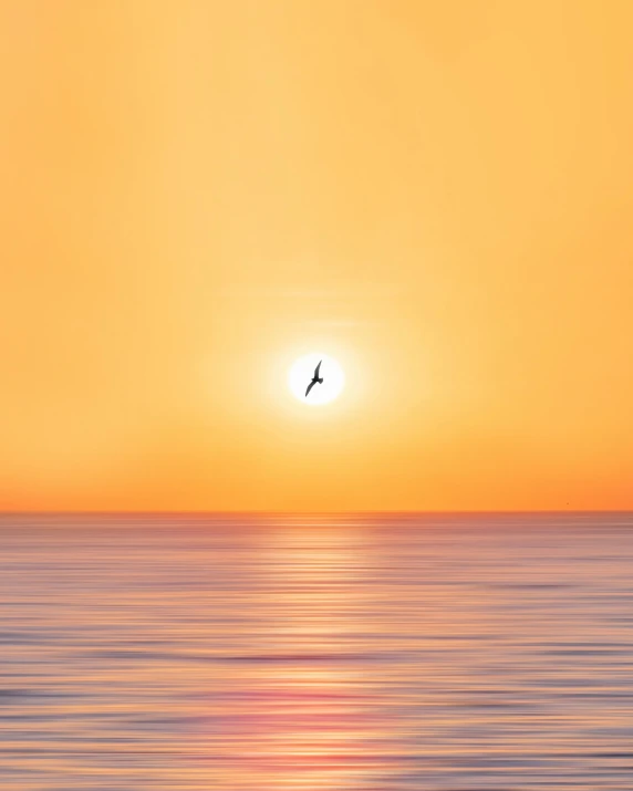 a bird flying over the ocean at sunset, an album cover, inspired by Jan Kupecký, pexels contest winner, minimalism, vibrant orange, meditation, ian david soar, the sun shines in