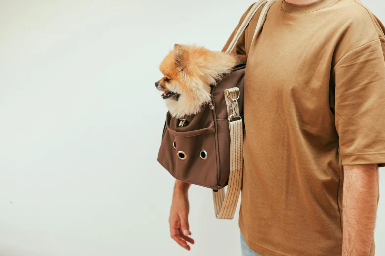 a man holding a small dog in a brown bag, featured on instagram, neoprene, with two front pockets, retro stylised, lumi