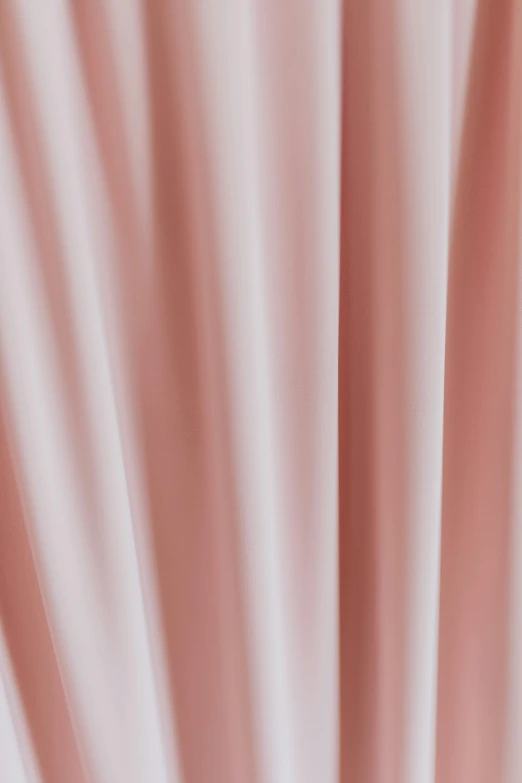 a close up of a pink flower in a vase, background made of big curtains, smooth defined outlines, pastel pink skin tone, detailed product image