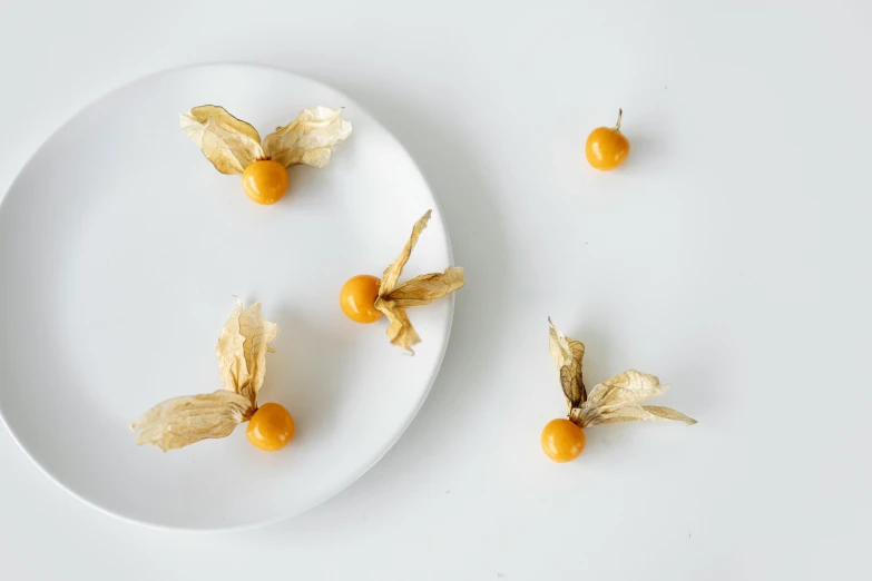 a plate that has some kind of fruit on it, by Ellen Gallagher, trending on unsplash, arabesque, tiny insects, golden orbs, minimalist photorealist, four wings