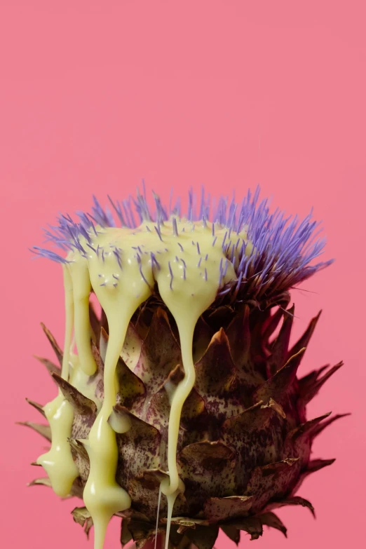 a close up of a flower on a pink background, an album cover, inspired by Elsa Bleda, conceptual art, drooling ferrofluid, grilled artichoke, butter sculpture, tropical fruit