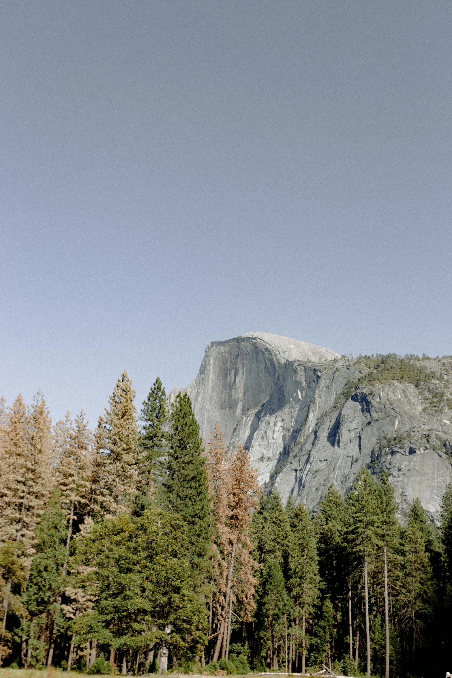 a man flying a kite on top of a lush green field, a matte painting, by Ryan Pancoast, trending on unsplash, yosemite valley, dome, sparse pine trees, panoramic shot