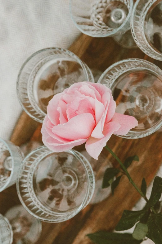 a pink rose sitting on top of a wooden tray, by Anna Boch, trending on unsplash, romanticism, small square glasses, in a row, made of crystal, vintage soft grainy