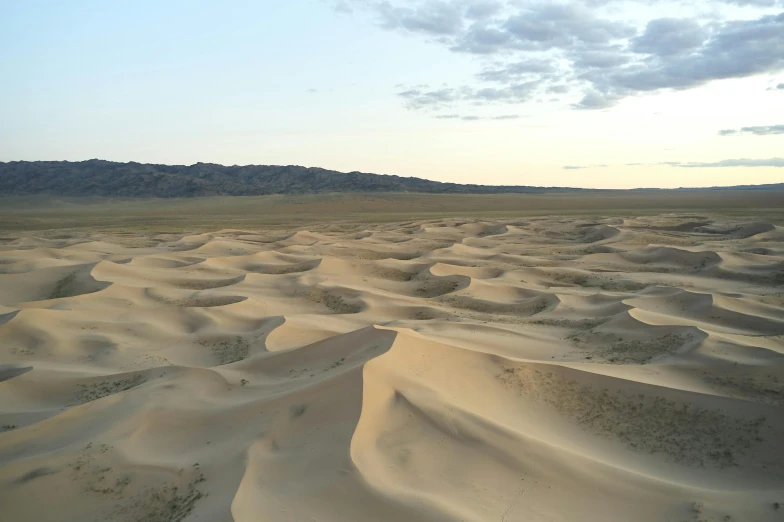 a desert with sand dunes and mountains in the background, by Daren Bader, land art, mongolia, seen from straight above, evenly lit, photo from the dig site