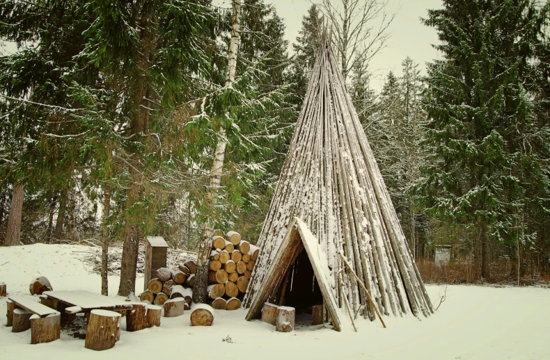 a teepee in the middle of a snowy forest, inspired by Einar Hakonarson, pexels contest winner, land art, sauna, natural materials, 2 0 0 0's photo, documentary still