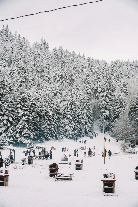 a group of people riding skis down a snow covered slope, snowing in the forest, chairlifts, trees!!, transylvania