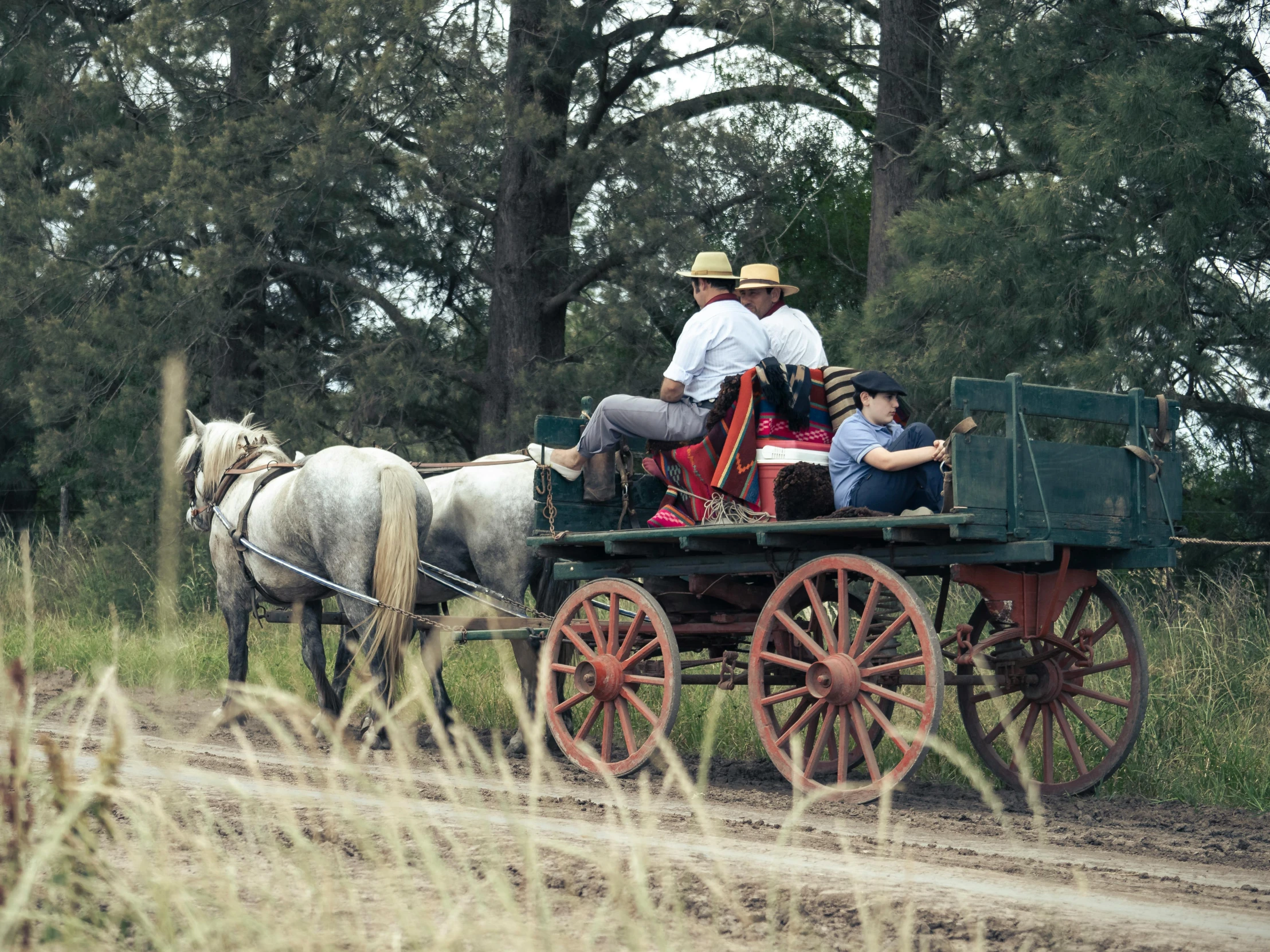 a couple of people riding on the back of a horse drawn carriage, by Pamela Ascherson, unsplash, “ iron bark, country style, 3 / 4 wide shot, slide show