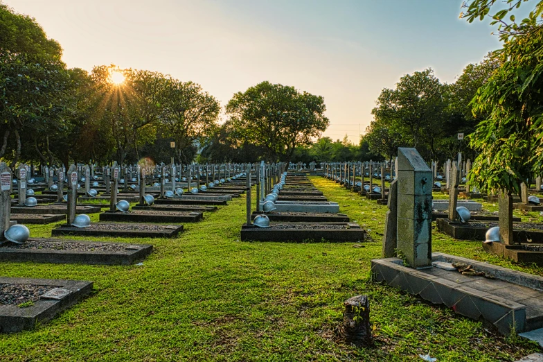 a cemetery filled with lots of tombstones and trees, a photo, pexels contest winner, evening sun, wide panoramic shot, lawn, sydney park