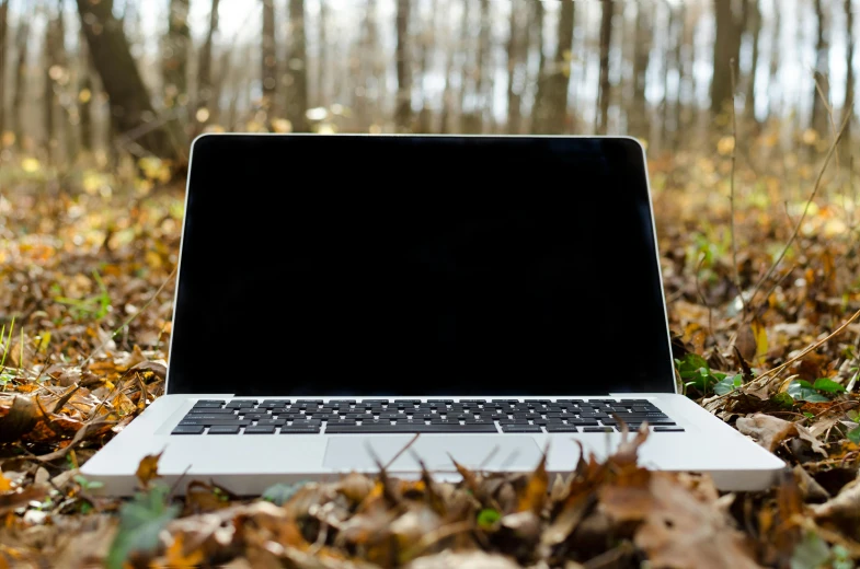 a laptop computer sitting on top of a pile of leaves, a portrait, unsplash, in front of a forest background, no - text no - logo, wilderness ground, in 2 0 1 5