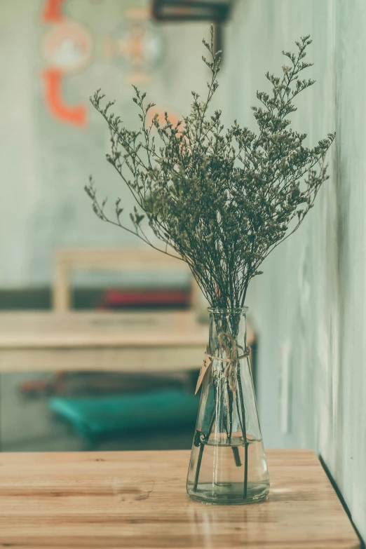 a vase filled with flowers sitting on top of a wooden table, inspired by Elsa Bleda, trending on unsplash, sitting in a cafe alone, willow plant, hazy, high quality photo