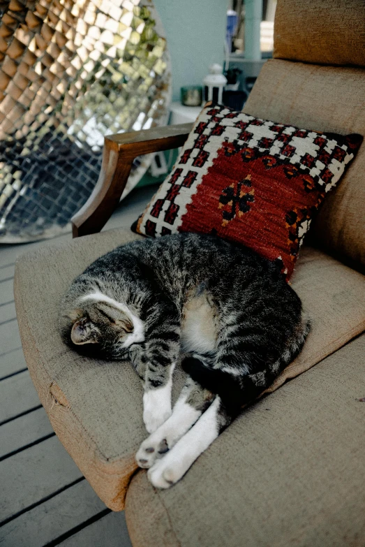 a cat that is laying down on a chair, patio, sitting on a couch, throw pillows, bay area