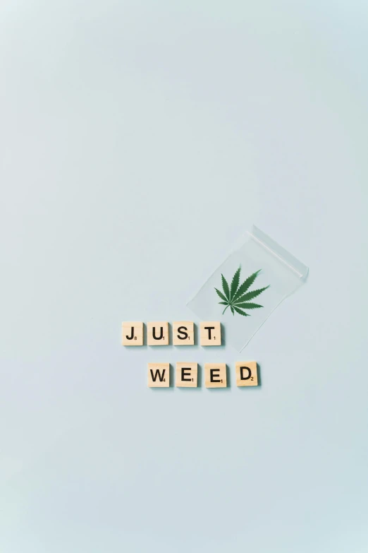 a wooden block with the words just weed written on it, an album cover, inspired by Mary Jane Begin, unsplash, postminimalism, buds, ilustration, chemistry, ¯_(ツ)_/¯