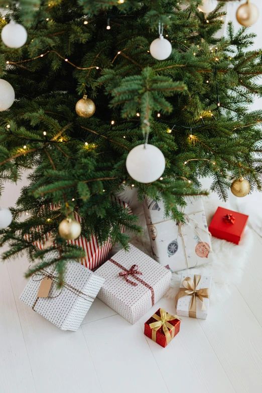 a small christmas tree with presents underneath it, a portrait, pexels, renaissance, square, high angle close up shot, white, organic ornaments