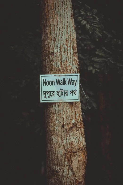 a sign hanging on the side of a tree, by Winona Nelson, pexels contest winner, assamese aesthetic, lunar walk, narrow footpath, walking over you