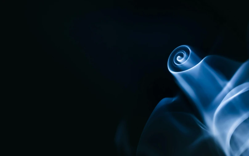 a close up of smoke on a black background, an abstract sculpture, inspired by Anna Füssli, unsplash contest winner, rendering a blue rose, white spiral horns, luminescent fabrics, plain background