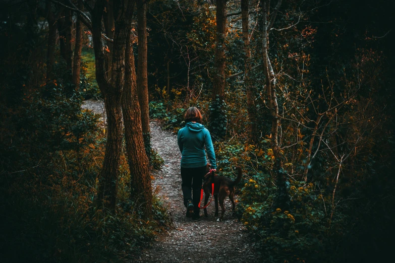a woman walking her dog down a path in the woods, pexels contest winner, thumbnail, unsplash 4k, comforting, deep colour