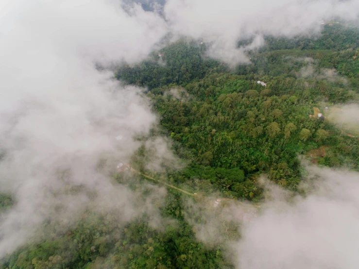 a bird's eye view of a forested area, hurufiyya, among the clouds, multiple stories, coban, teaser