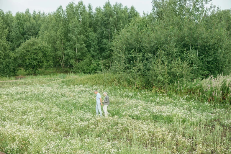 a person in a field with a frisbee, by Grytė Pintukaitė, land art, man and woman walking together, overgrown vegetation, olafur eliasson, wide aerial shot