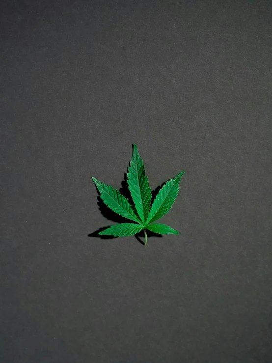 a marijuana leaf on a black surface, an album cover, unsplash, ☁🌪🌙👩🏾, instagram post, profile picture, on high-quality paper