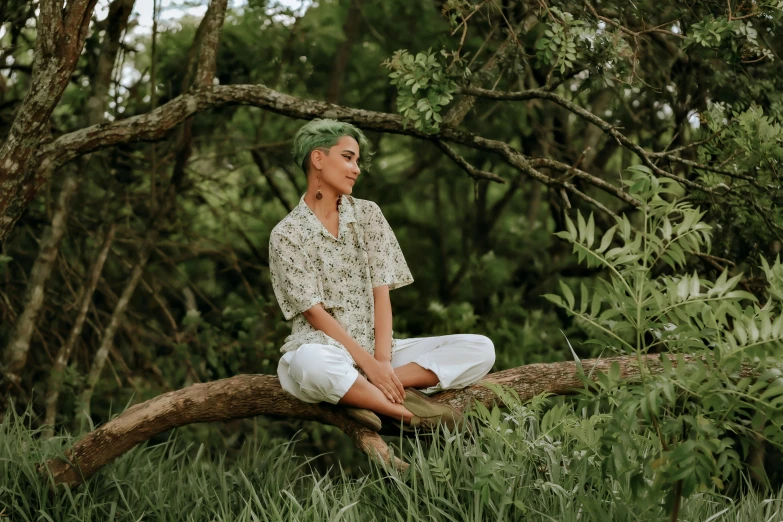 a woman sitting on a tree branch in a forest, a portrait, trending on pexels, hurufiyya, with hawaiian shirt, androgynous person, on a green hill, meditative