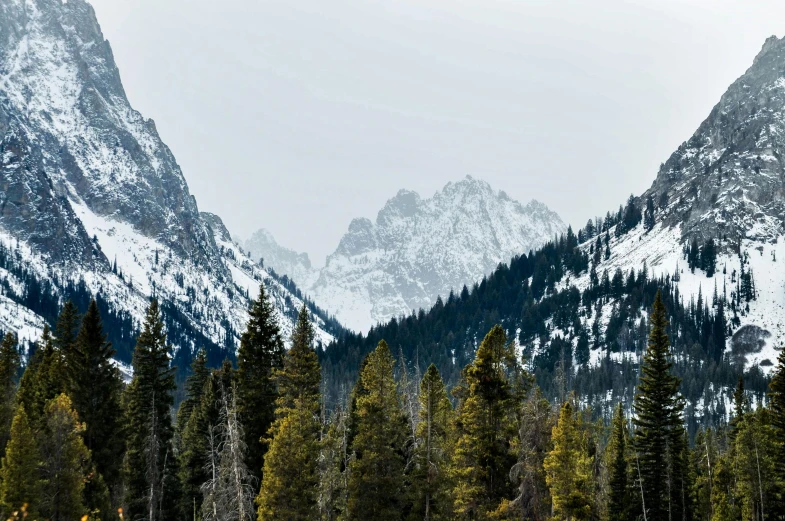 a group of people riding skis down a snow covered slope, unsplash contest winner, visual art, mountains river trees, tall spires, black fir, wyoming