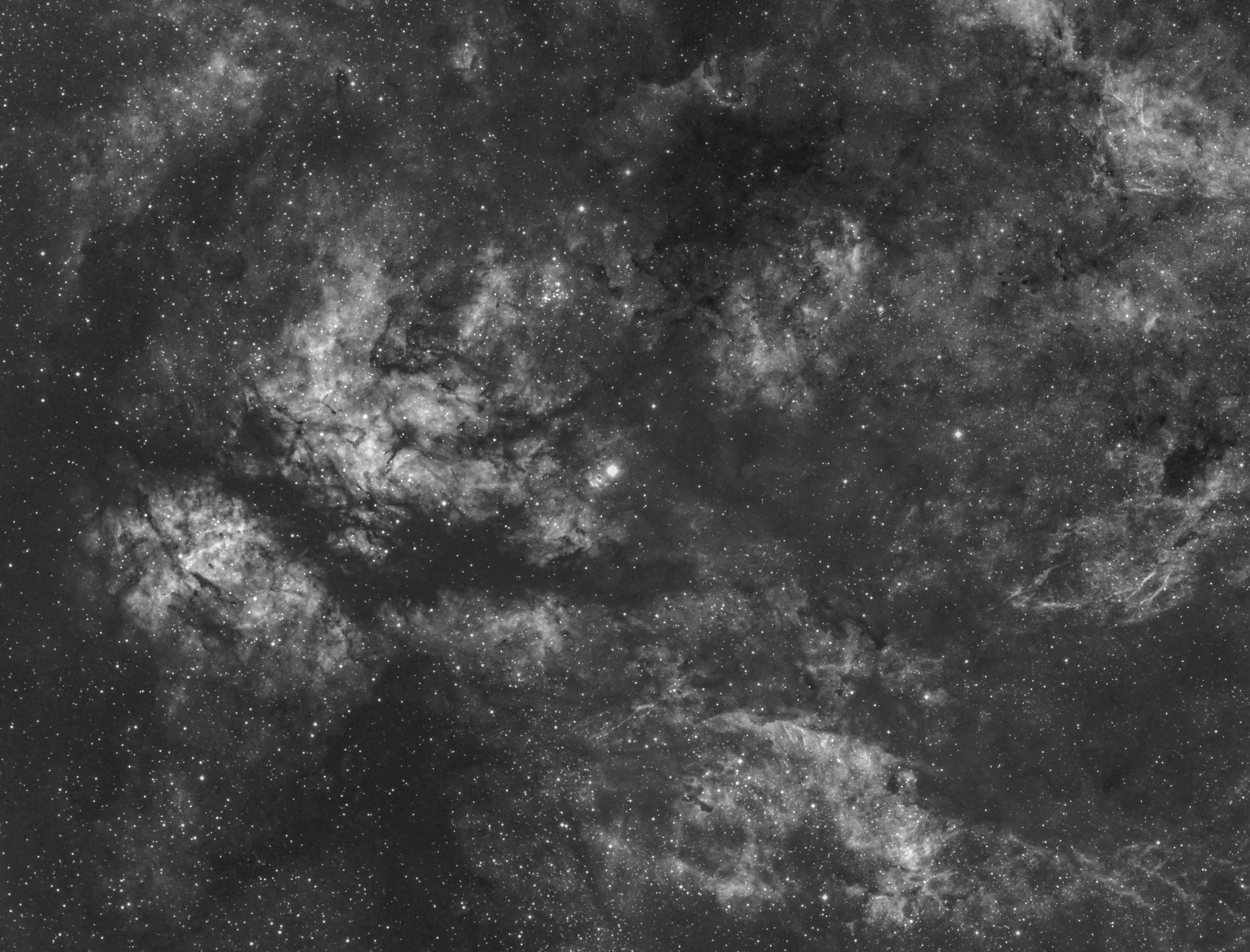 a black and white photo of the milky, space art, gray mottled skin, nimbus, il, completely filled space