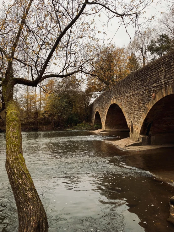 a stone bridge over a river with a tree in the foreground, inspired by Richmond Barthé, pexels contest winner, tall arches, brown, cozy, panoramic shot