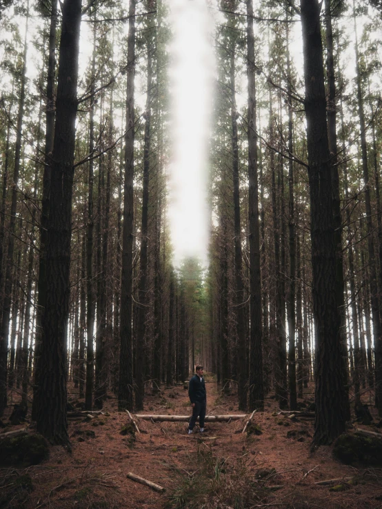 a man standing in the middle of a forest, an album cover, unsplash contest winner, symmetrical image, instagram story, ((trees)), evenly lit