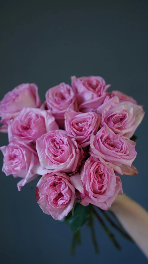a person holding a bouquet of pink roses, by Rachel Reckitt, angled, rosette, no cropping, slate