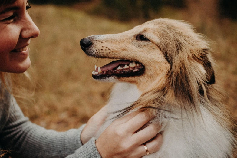 a close up of a person holding a dog, dog teeth, long mane, manuka, feature