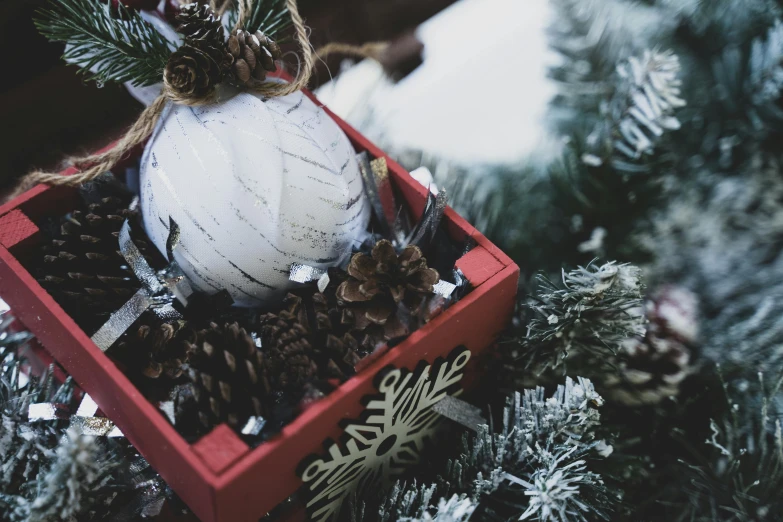 a red box filled with pine cones and a white ornament, pexels contest winner, grey, thumbnail, low detail, white