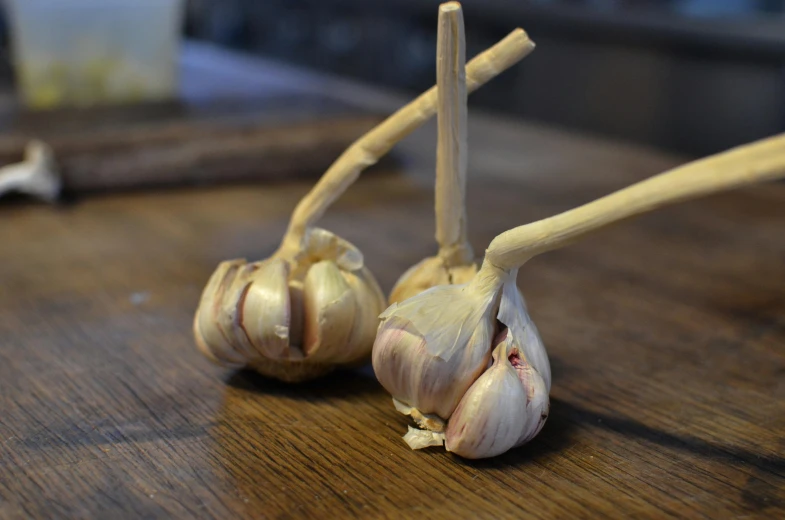 a couple of garlic cloves sitting on top of a wooden table, inspired by Sarah Lucas, process art, small quills along it's back, tastes, ingredients on the table, sprouting