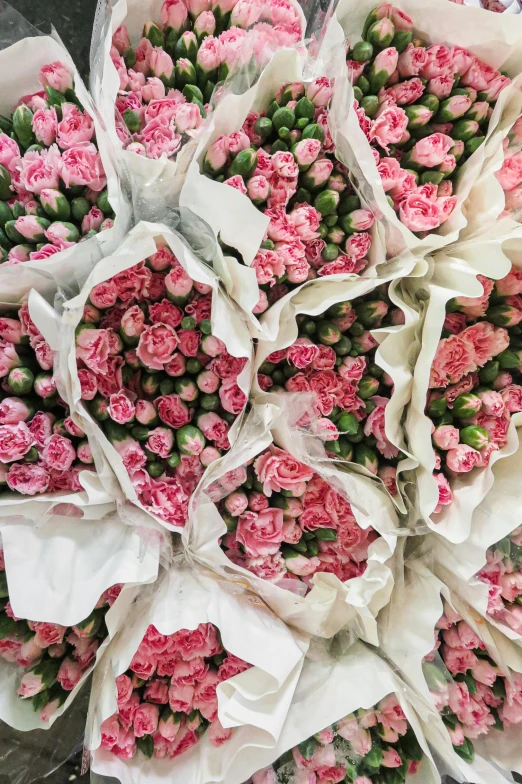 a bunch of pink flowers sitting on top of a table, wrapped in flowers, commercially ready, in rows, premium quality