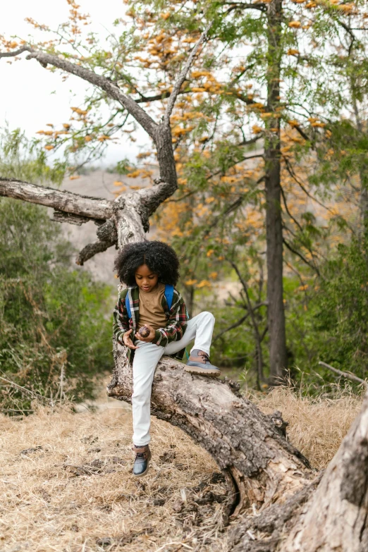 a little girl sitting on top of a tree branch, by Jessie Algie, trending on unsplash, hiking clothes, brown skinned, walking boy, malibu canyon