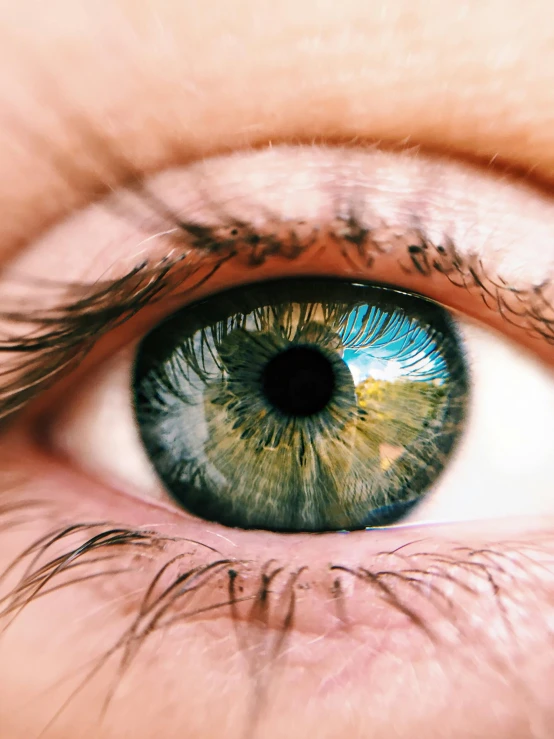 a close up of a person's green eye, trending on unsplash, one yellow and one blue eye, hyperdetailed photo, see