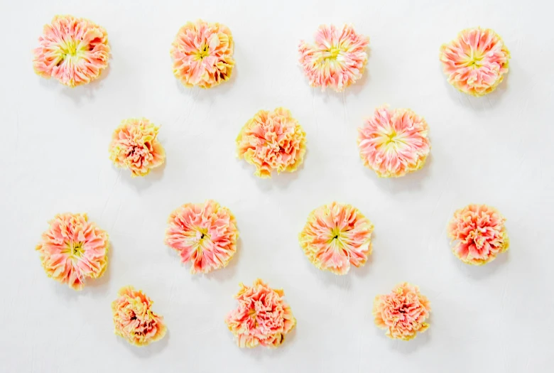 a bunch of pink and yellow flowers on a white surface, inspired by Cy Twombly, trending on unsplash, arabesque, background image, candy decorations, head made of carnations flower, repeating pattern