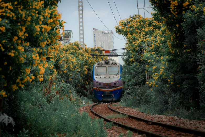 a train traveling through a lush green forest, unsplash contest winner, hyperrealism, wrapped in flowers and wired, bangkok, 2000s photo, yellow and purple color scheme