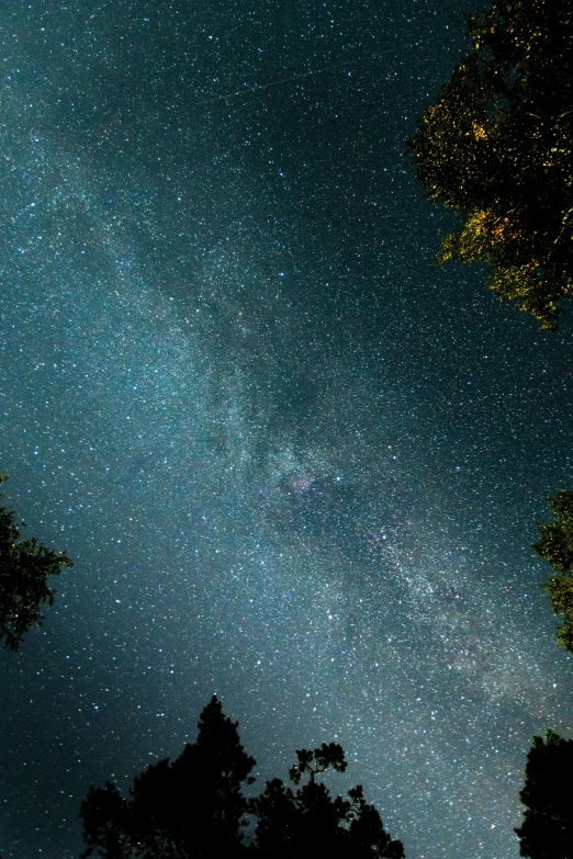 a night sky filled with lots of stars, a picture, by Matt Cavotta, trending on unsplash, trees and stars background, the milk way up above, medium closeup, rectangle