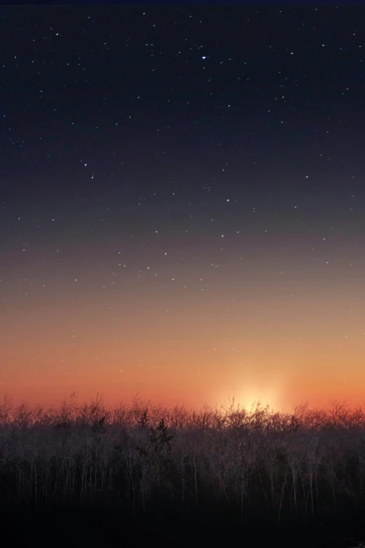 the sun is setting over a field of grass, by Eglon van der Neer, light and space, starry sky 8 k, moonlight snowing, stardust gradient scheme, instagram photo