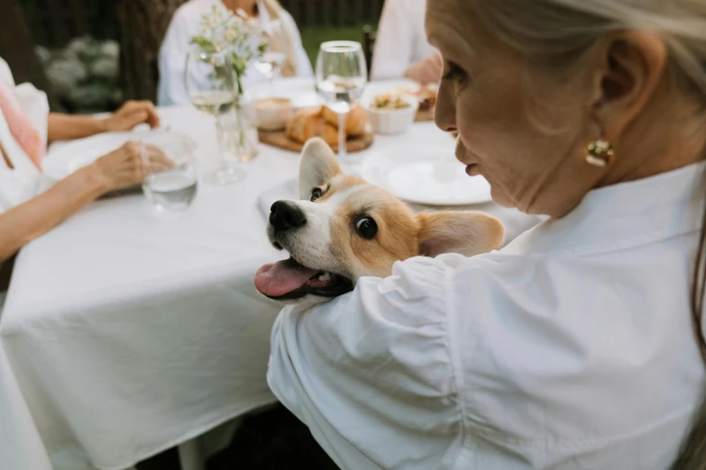 a woman sitting at a table with a dog, pexels contest winner, jack russel terrier surprised, gentlemens dinner, cute corgi, at a birthday party